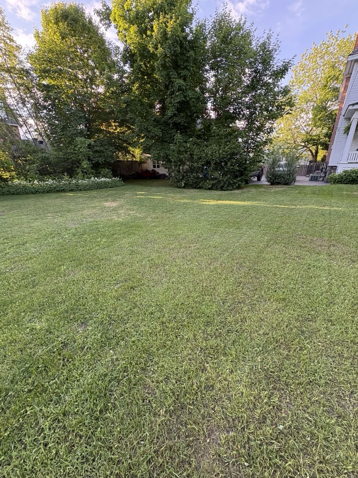 Even, freshly cut backyard lawn with clean edges