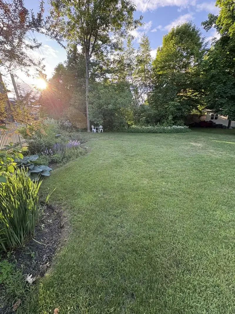 Freshly mowed lawn at a North Bay home